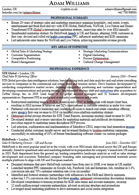 Executive CV Templates 2023: Downloads