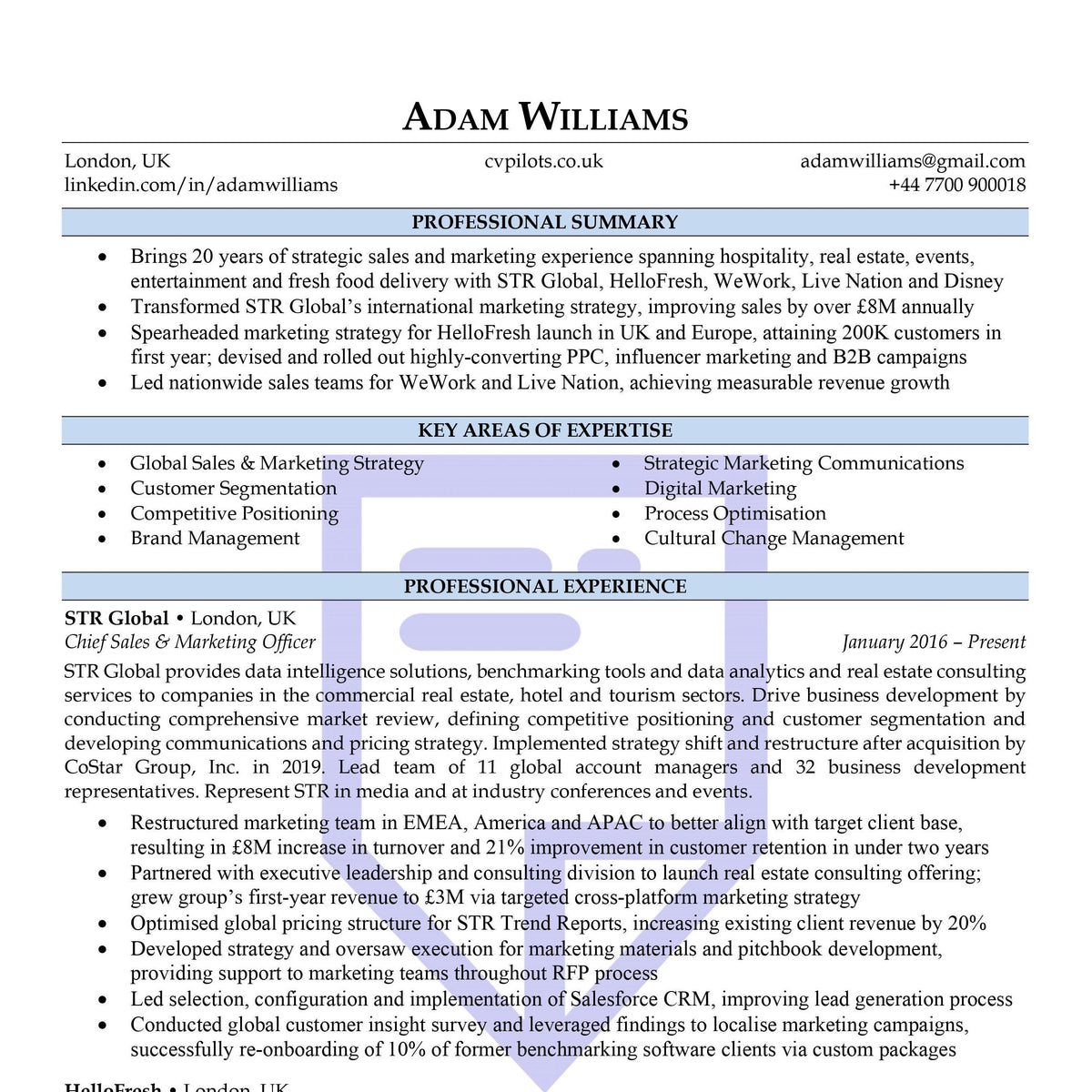 Executive CV Templates 2023 Downloads CV Pilots executive-cv-templates-2023-downloads-cv-pilots