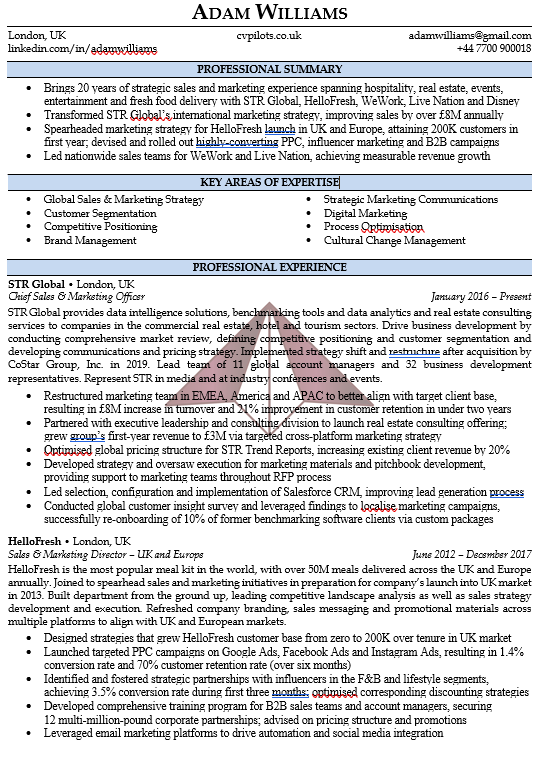 Executive CV Templates 2023: Downloads