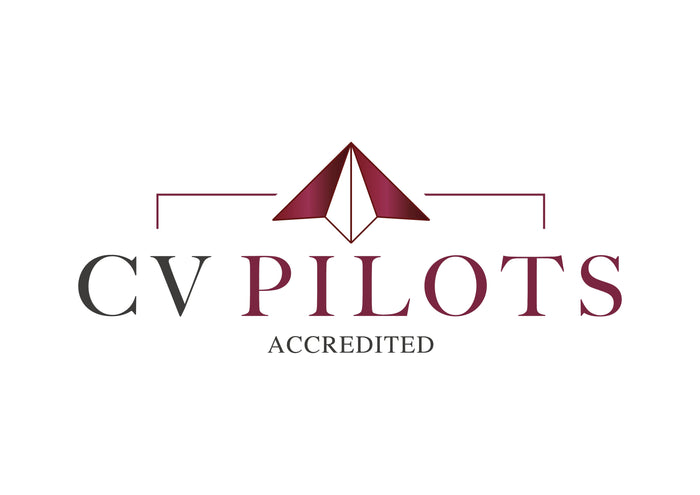 High-Impact Real Estate Executive CV Example