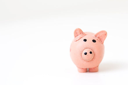 How Much Do Professional CV Writers Charge?