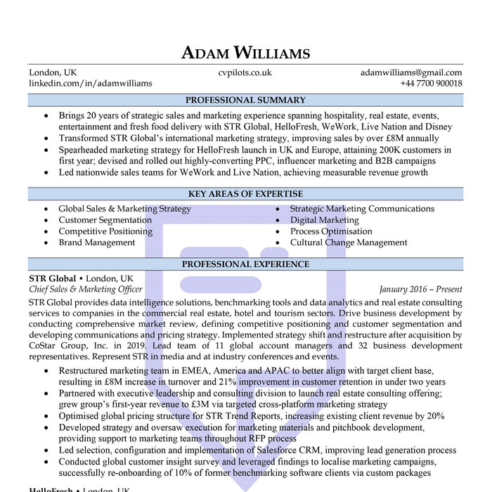 Executive CV Templates 2023: Downloads