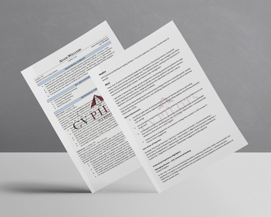 Business Class - CV & LinkedIn